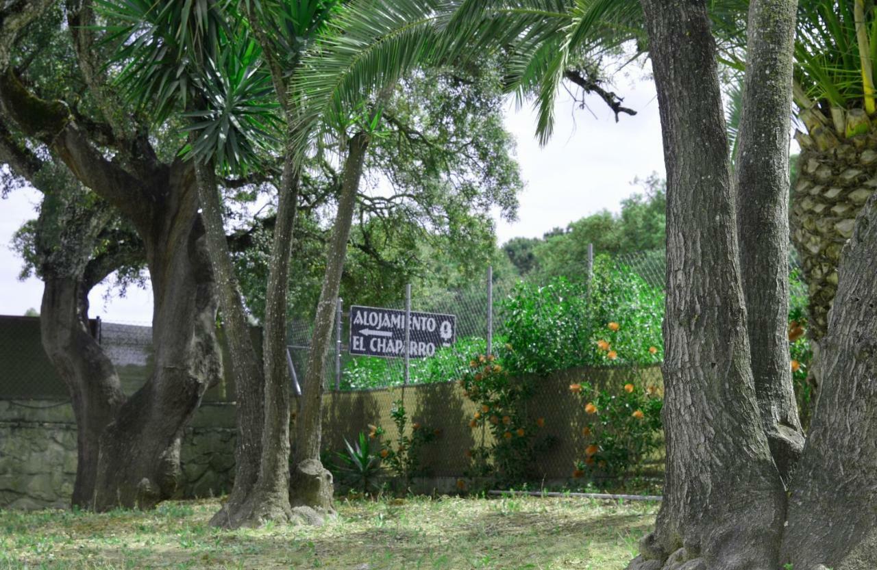 Alojamiento El Chaparro Barbate Junto A La Venta El Loro Exteriér fotografie